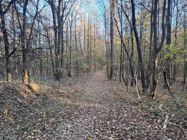 00 Cr 311, Oxford, MS 38655