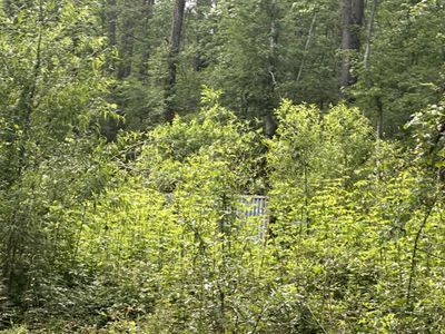 00 Weir Street, Summerville, SC 29483