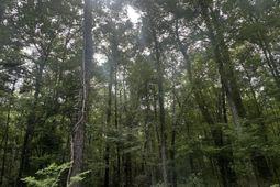 00 Weir Street photo 4