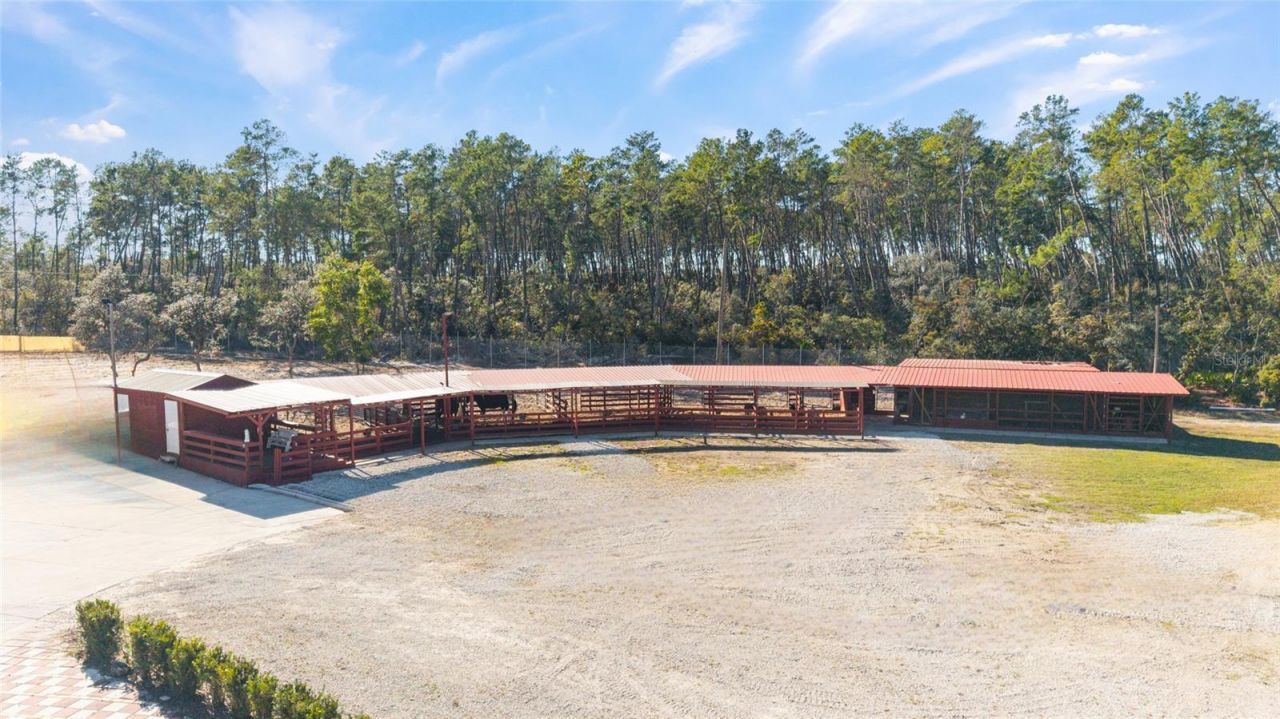 14181 SE 211th Court, Umatilla, FL 32784 Photo