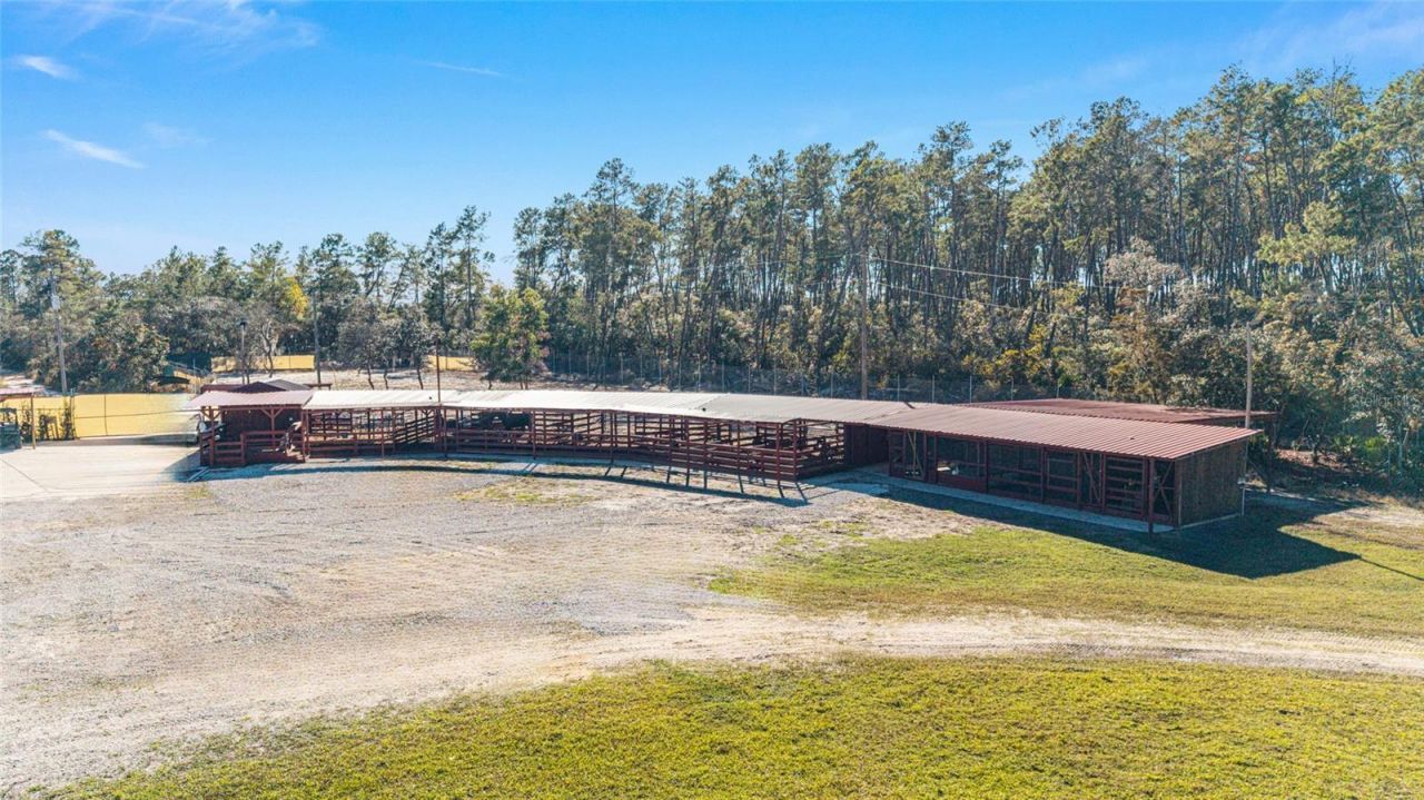 14181 SE 211th Court, Umatilla, FL 32784 Photo