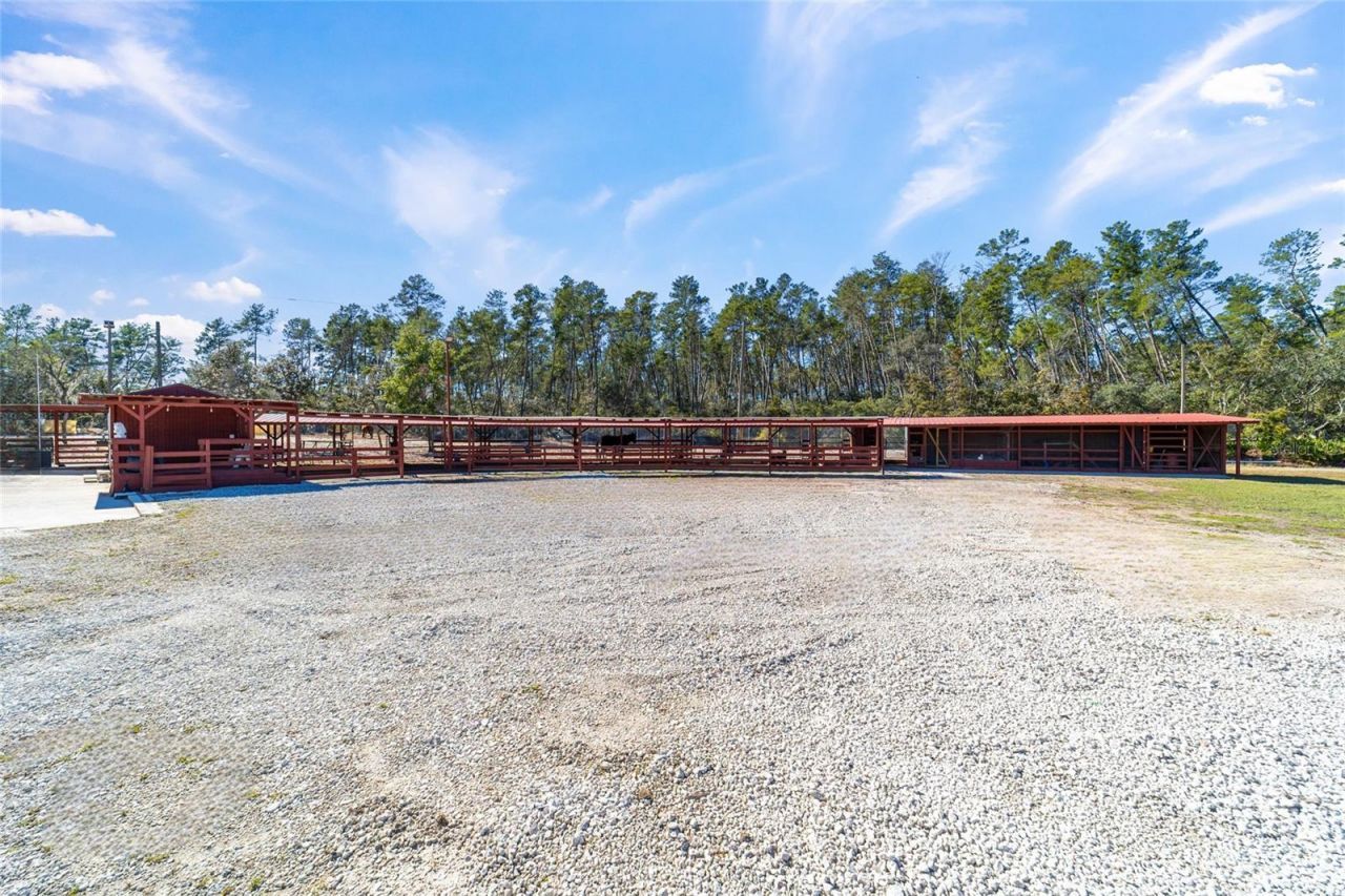 14181 SE 211th Court, Umatilla, FL 32784 Photo