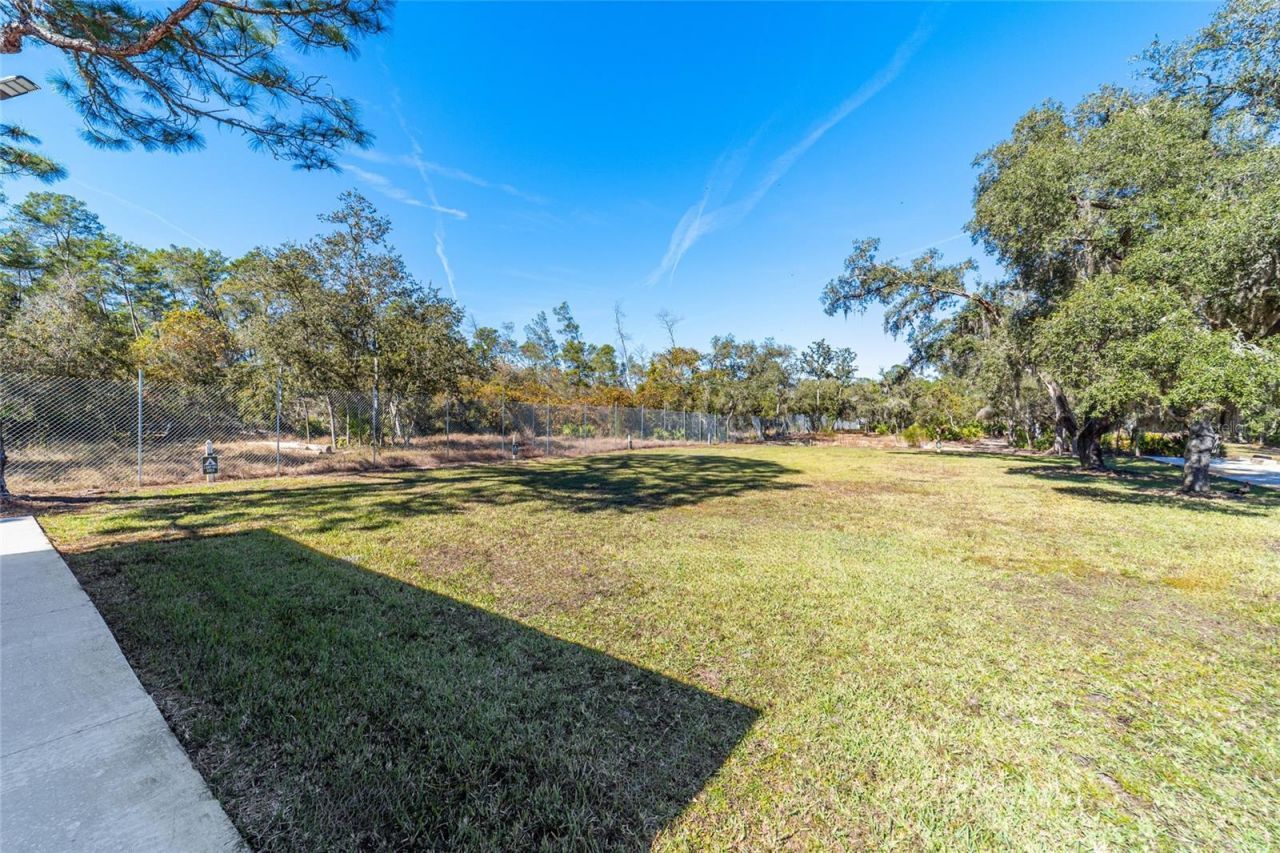 14181 SE 211th Court, Umatilla, FL 32784 Photo