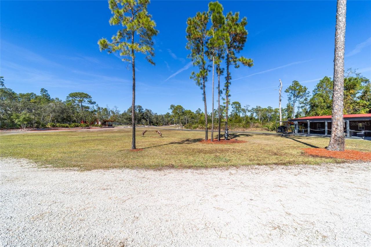 14181 SE 211th Court, Umatilla, FL 32784 Photo