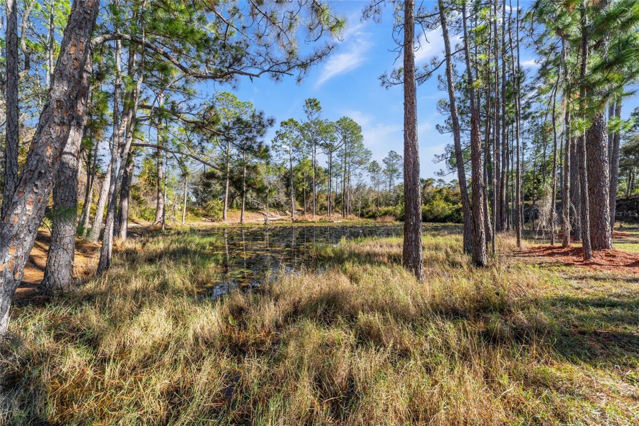 14181 SE 211th Court, Umatilla, FL 32784 Photo