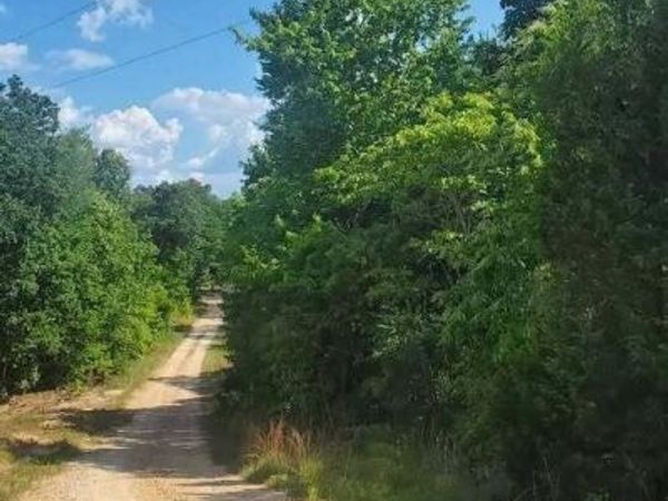 19 Chinkapin Road, Sugar Tree, TN 38380