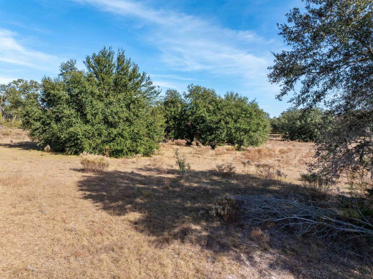 1015 NE Evergreen Avenue, Pinetta, FL 32350 Photo