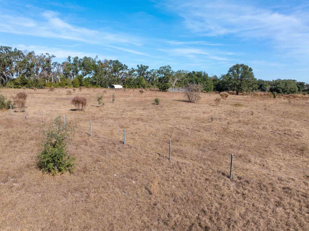 1015 NE Evergreen Avenue, Pinetta, FL 32350 Photo