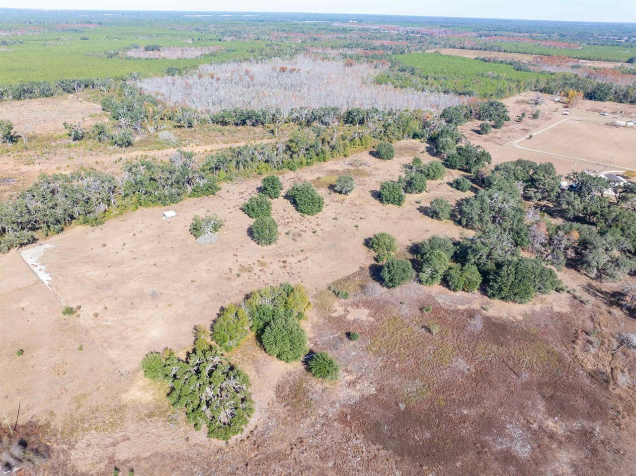 1015 NE Evergreen Avenue, Pinetta, FL 32350 Photo