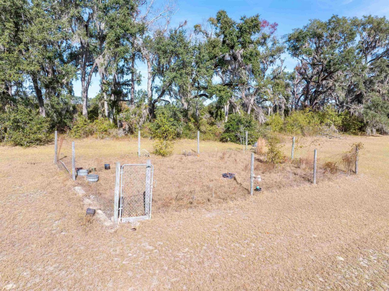 1015 NE Evergreen Avenue, Pinetta, FL 32350 Photo