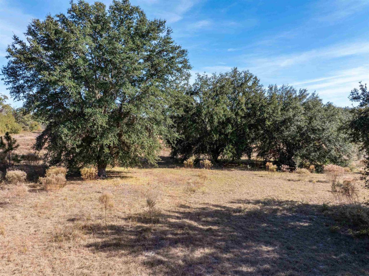 1015 NE Evergreen Avenue, Pinetta, FL 32350 Photo