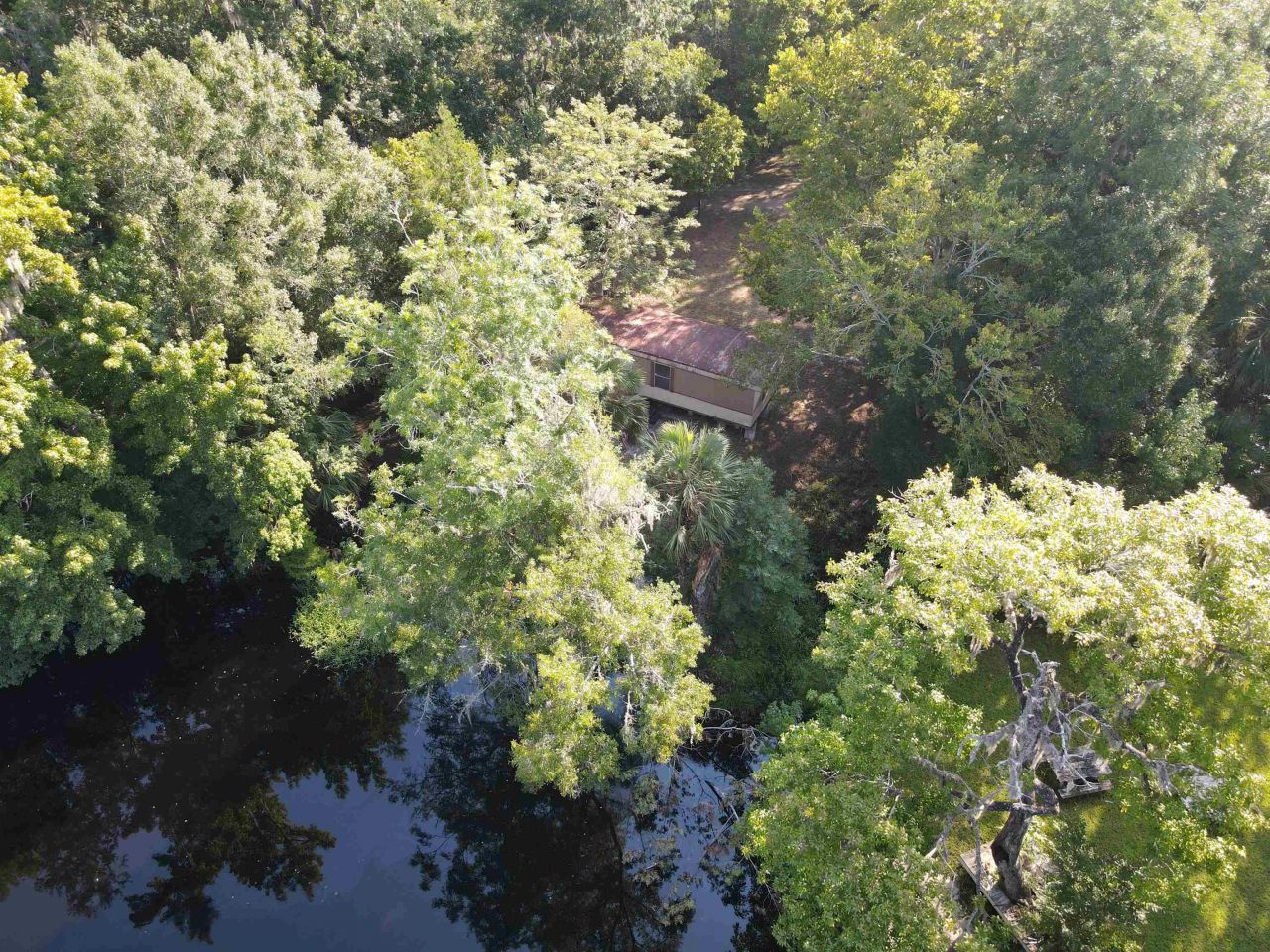 23210 Nutall Rise Road, Lamont, FL 32336 Photo