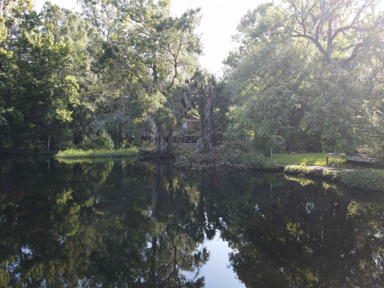 23210 Nutall Rise Road, Lamont, FL 32336 Photo