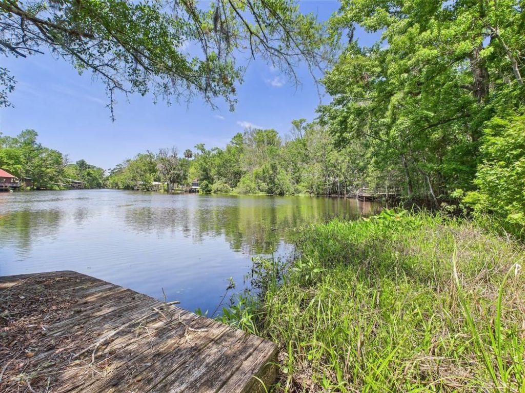 23210 Nutall Rise Road, Lamont, FL 32336 Photo