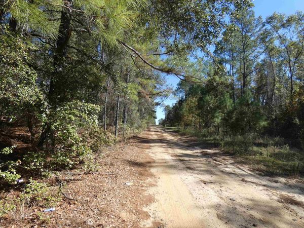 TBD E Meadow Road, Monticello, FL 32344