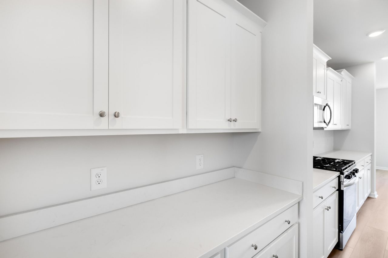 1028 Red Turnstone Run Photo 12