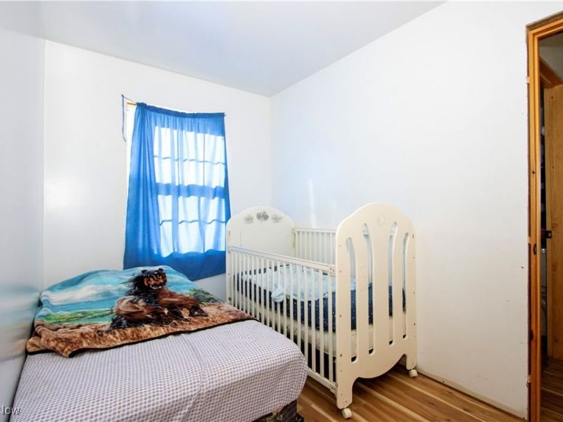 11890 Black River School Road, Homerville, OH 44235 Photo 29