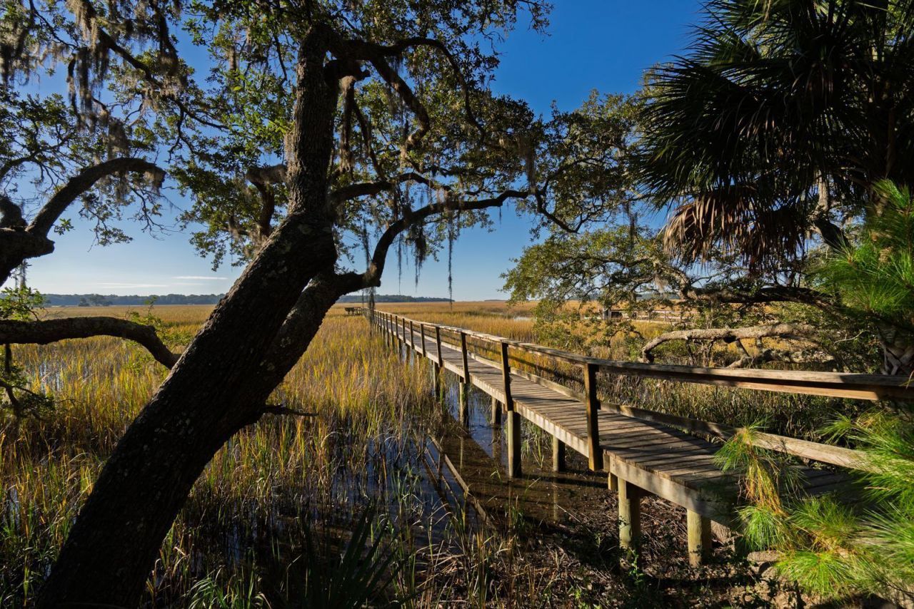8525 Middleton Point Lane Edisto Island, SC 29438