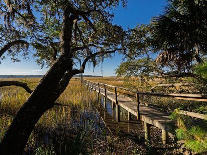 8525 Middleton Point Lane Edisto Island, SC 29438