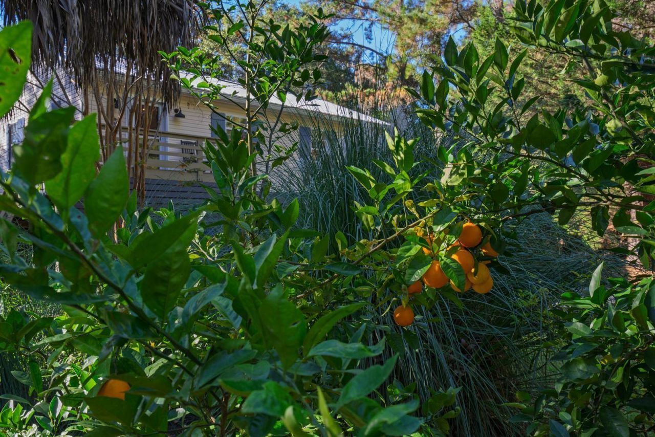 8525 Middleton Point Lane Photo 65