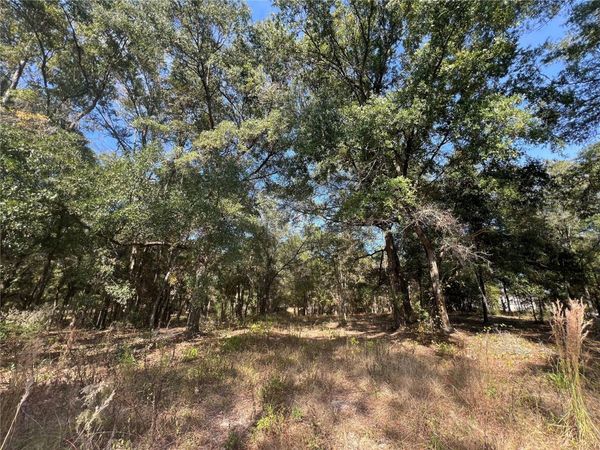 13465 SW 100TH STREET, DUNNELLON, FL 34432