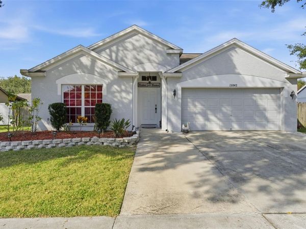 26843 ROSEANN PLACE, LUTZ, FL 33559