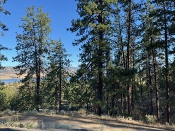 510 Hunt Ln, Seven Bays, WA 99122