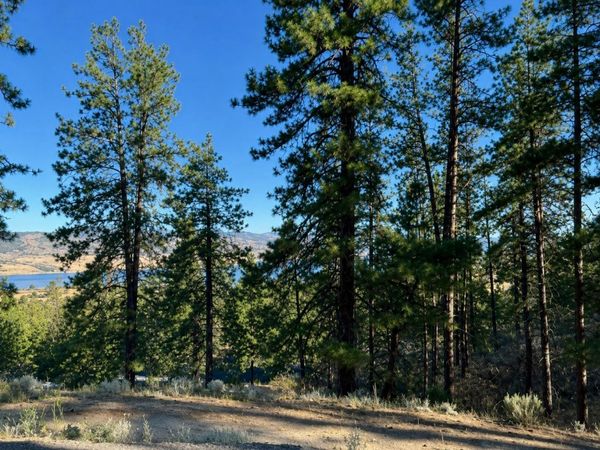 510 Hunt Ln, Seven Bays, WA 99122