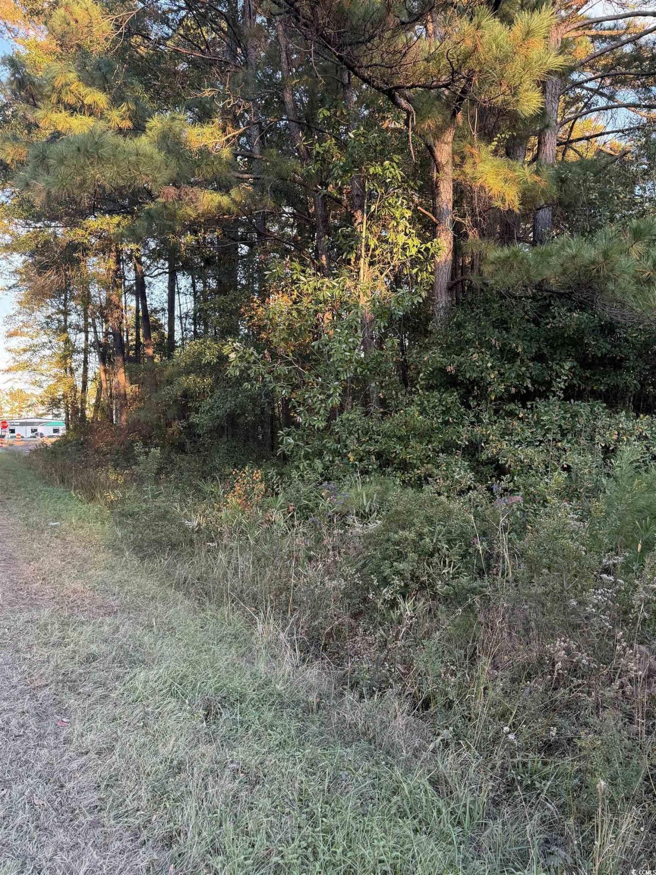 Lot 1 & 2 College Park Rd. Photo 6