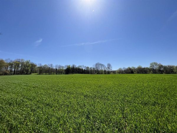 172 Acres Spears Road, Scottsville, KY 42164