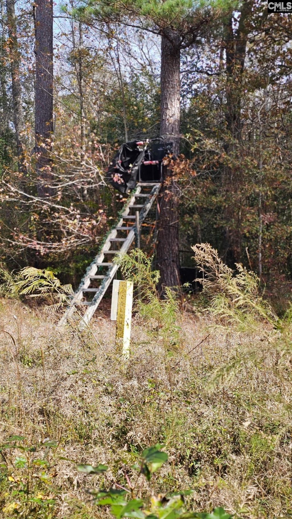 4079 Jefferson Davis Highway Photo 10