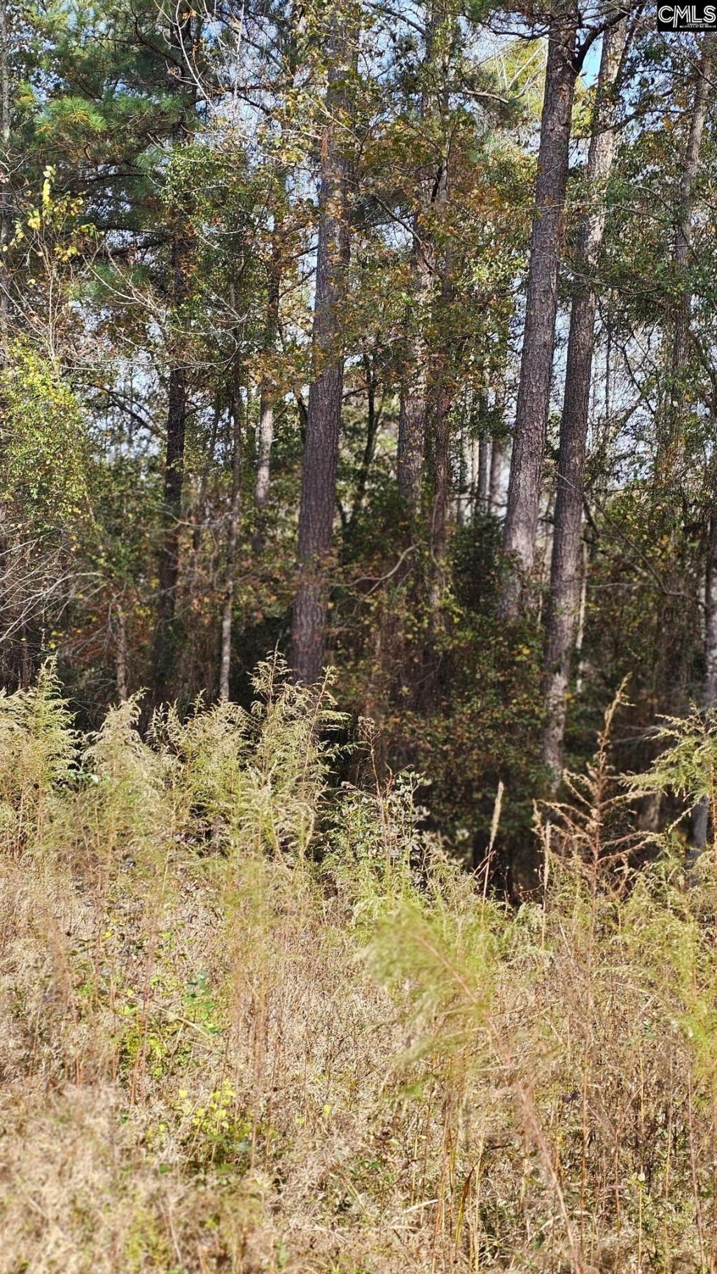 4079 Jefferson Davis Highway Photo 11