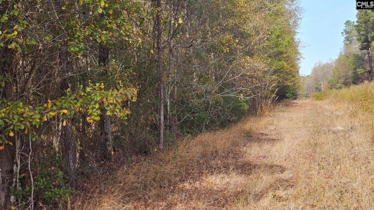 4079 Jefferson Davis Highway Photo 12