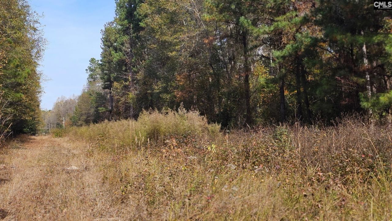 4079 Jefferson Davis Highway Photo 13