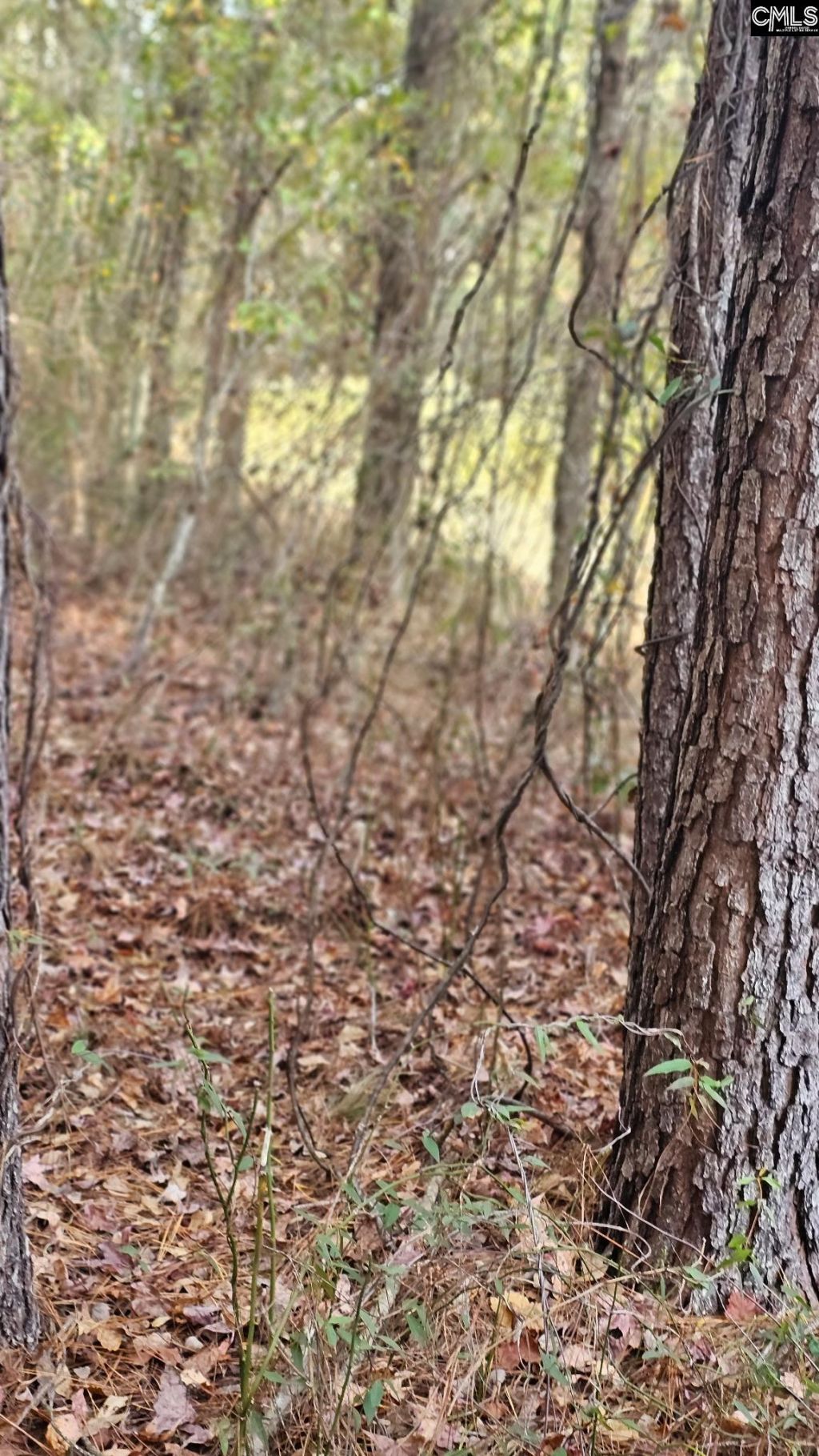 4079 Jefferson Davis Highway Photo 14