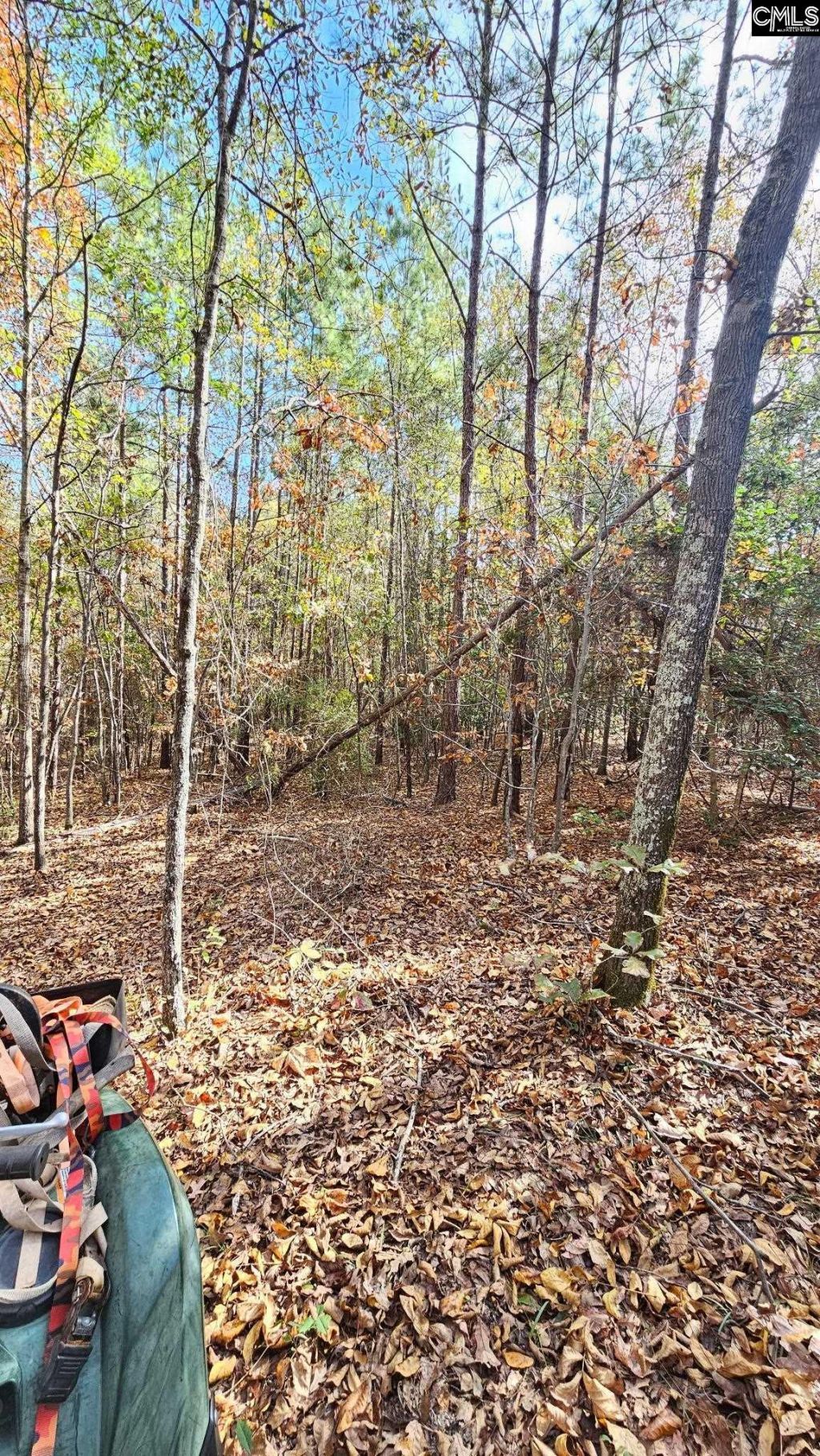 4079 Jefferson Davis Highway Photo 15