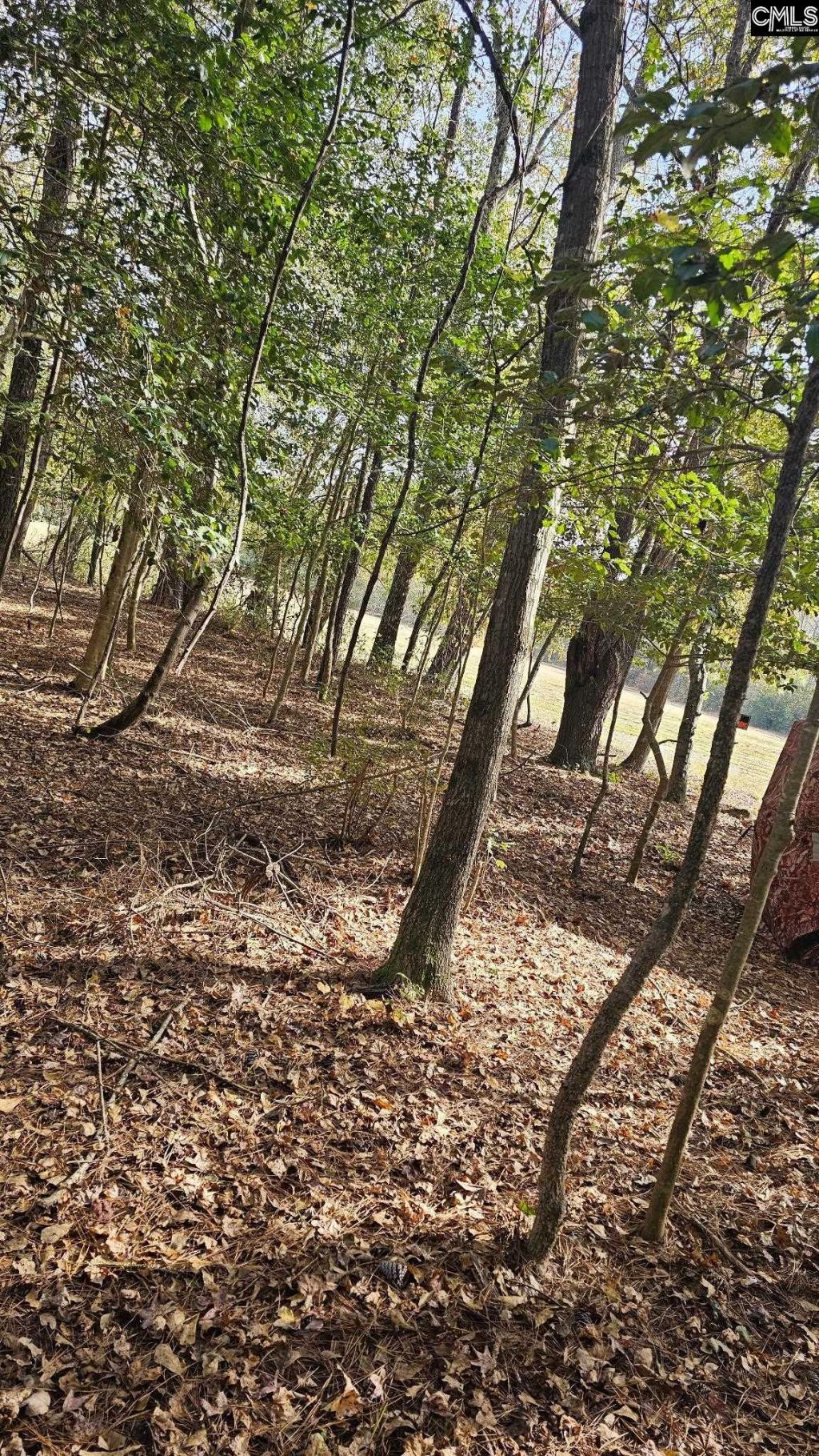 4079 Jefferson Davis Highway Photo 16