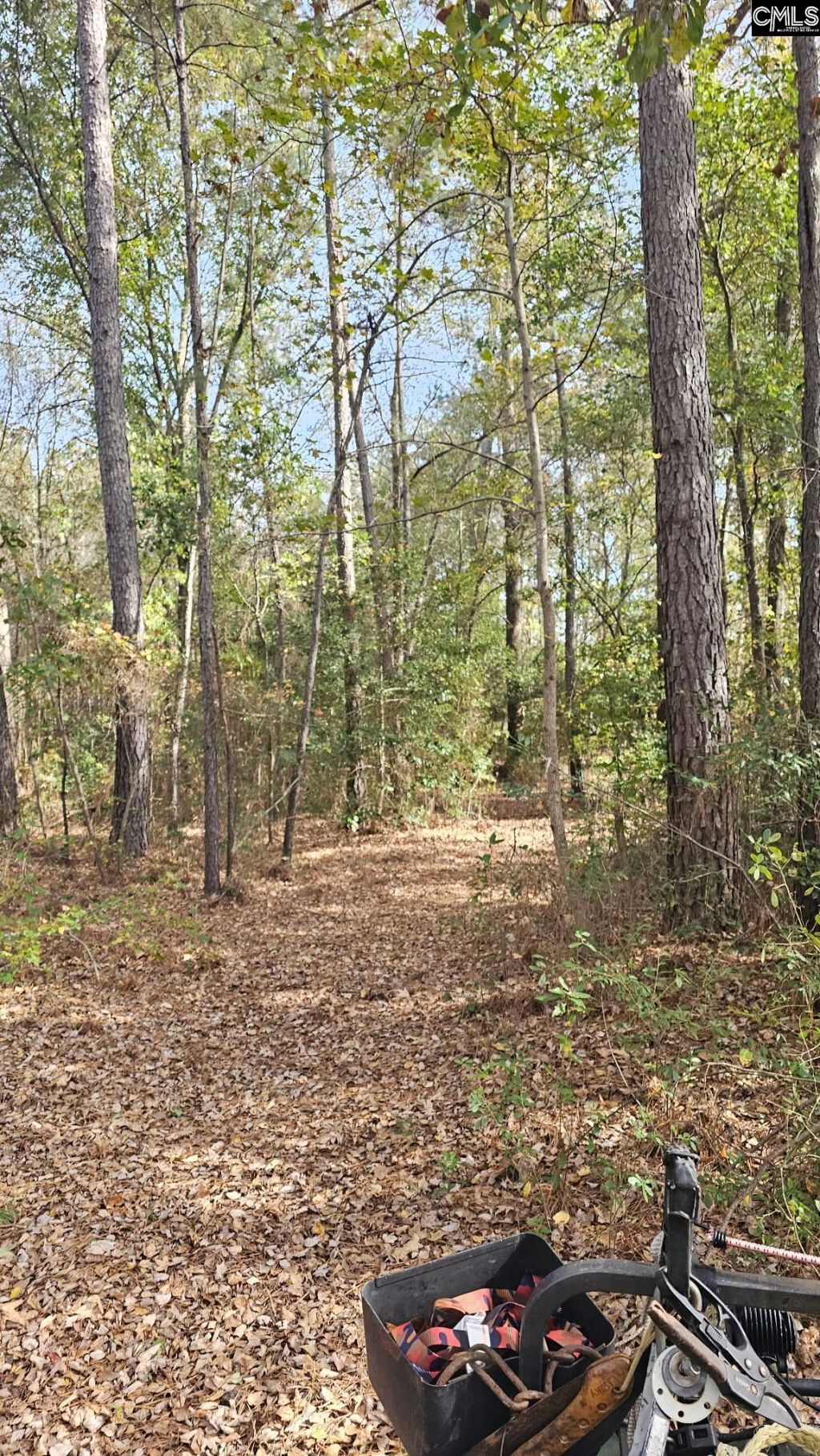 4079 Jefferson Davis Highway Photo 18