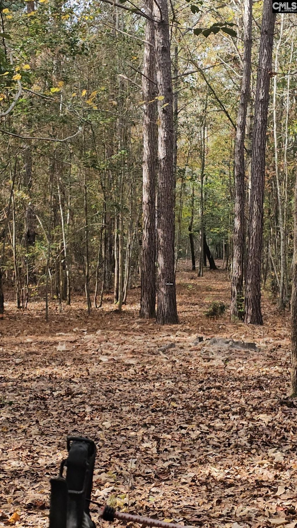 4079 Jefferson Davis Highway Photo 19