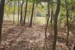 4079 Jefferson Davis Highway photo 4