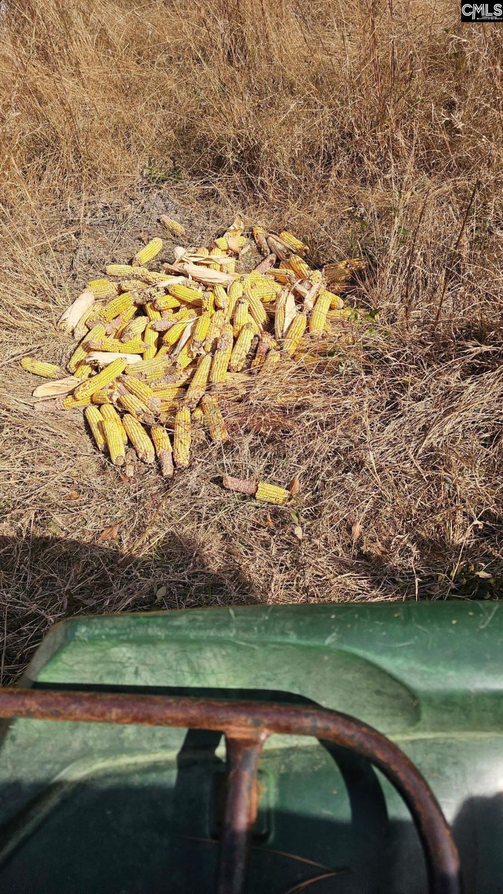 4079 Jefferson Davis Highway Photo 20