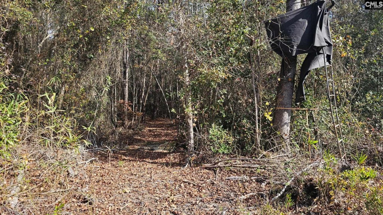 4079 Jefferson Davis Highway Photo 21