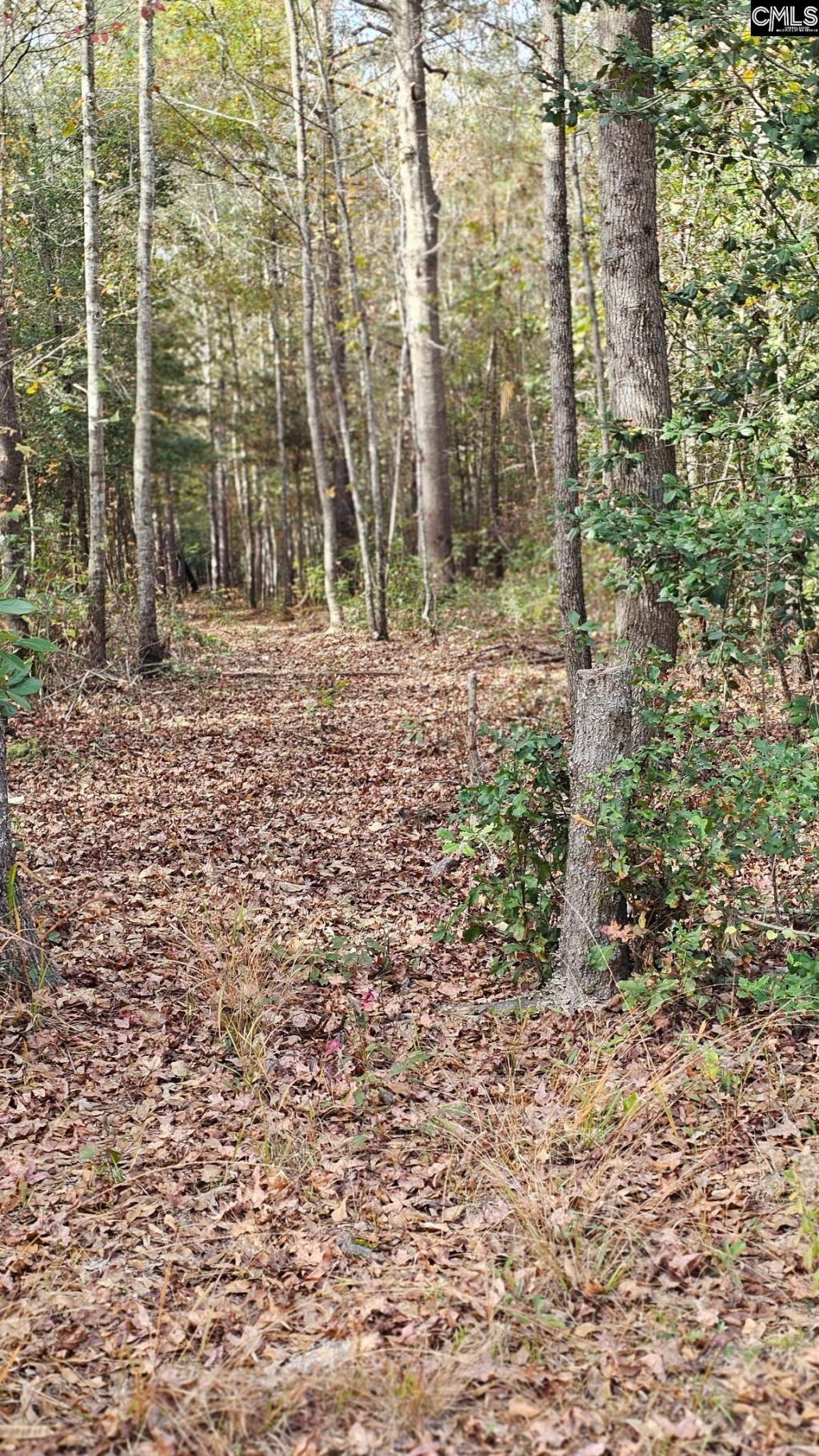 4079 Jefferson Davis Highway Photo 22