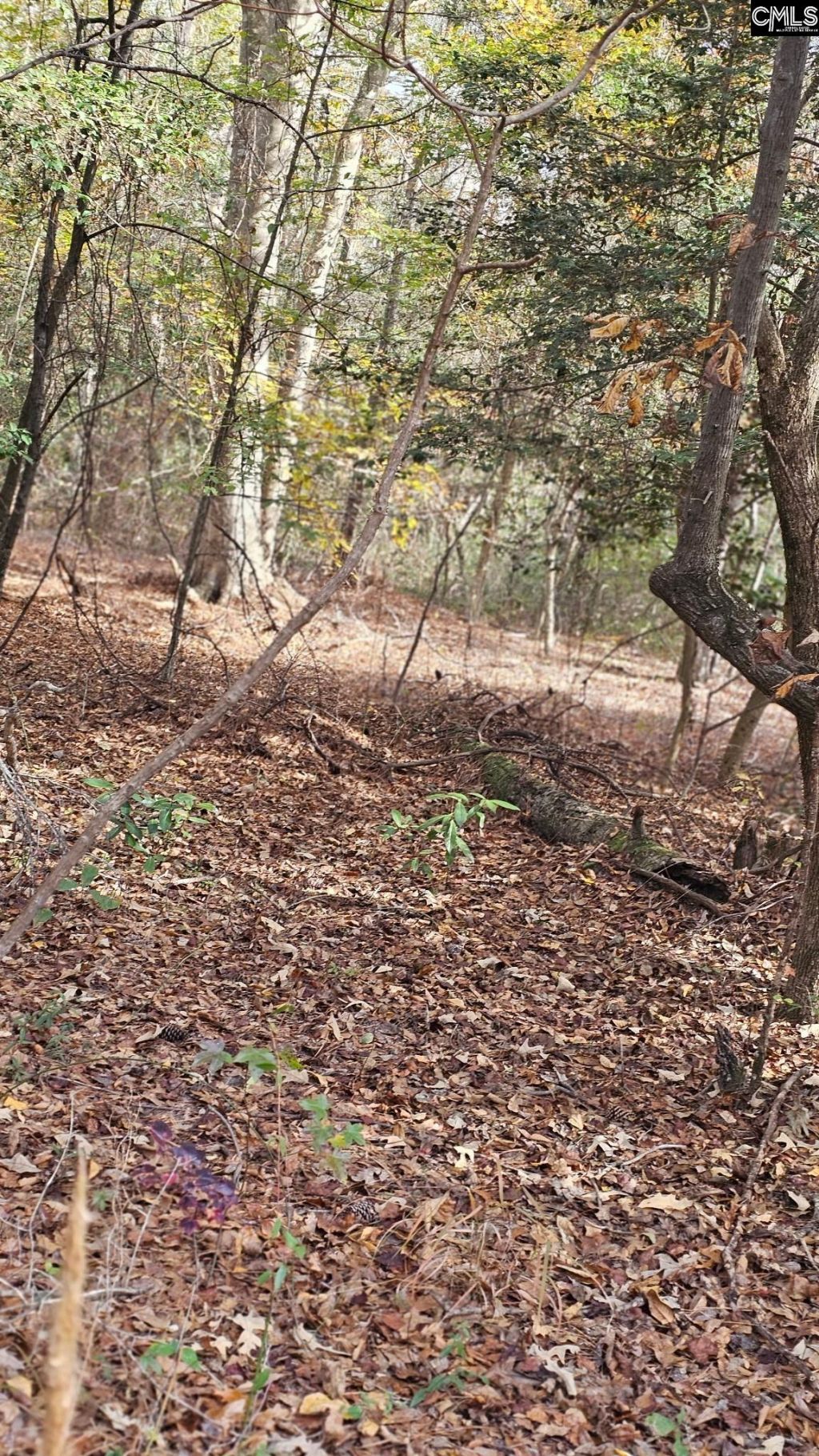 4079 Jefferson Davis Highway Photo 23