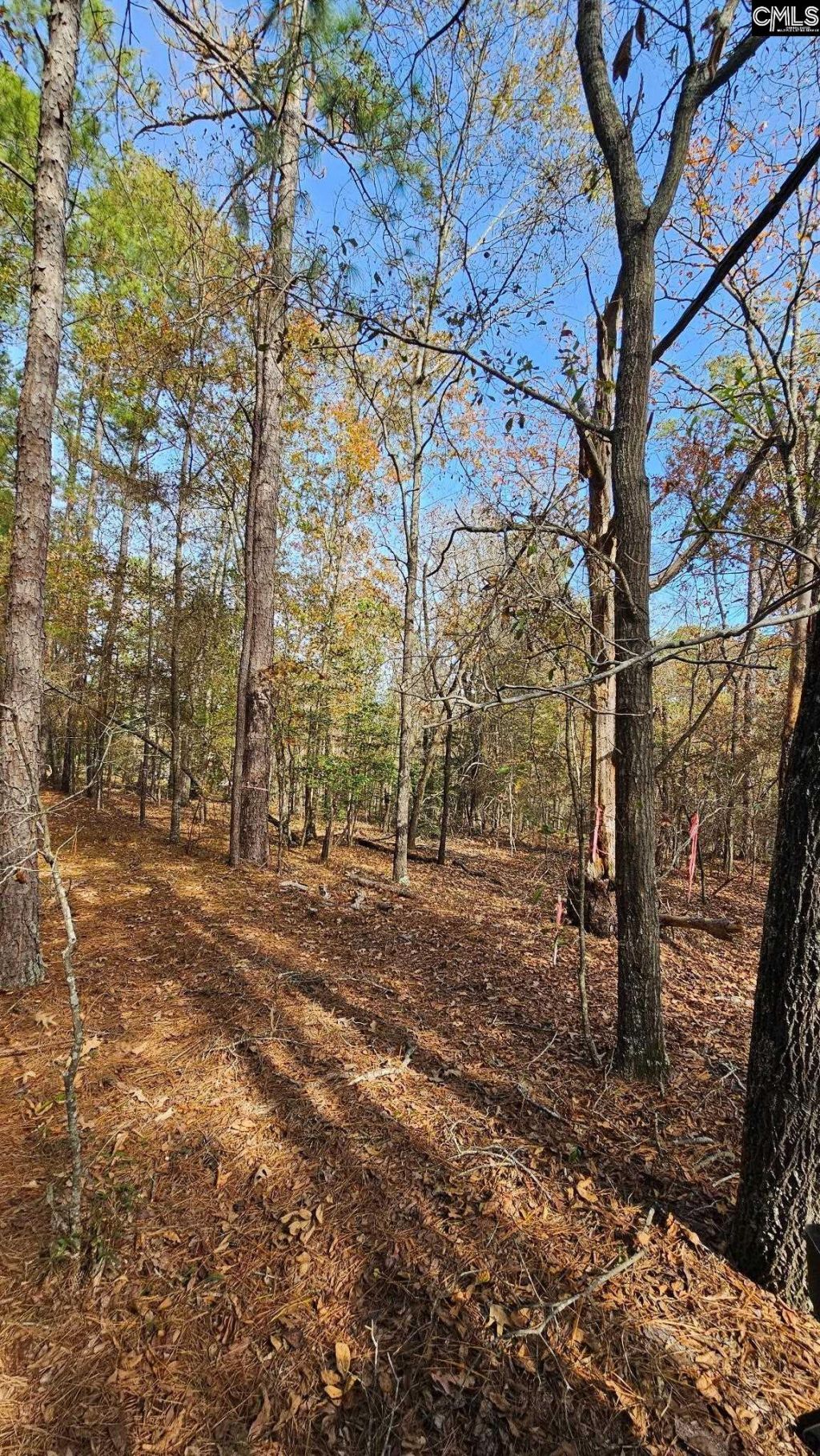 4079 Jefferson Davis Highway Photo 27