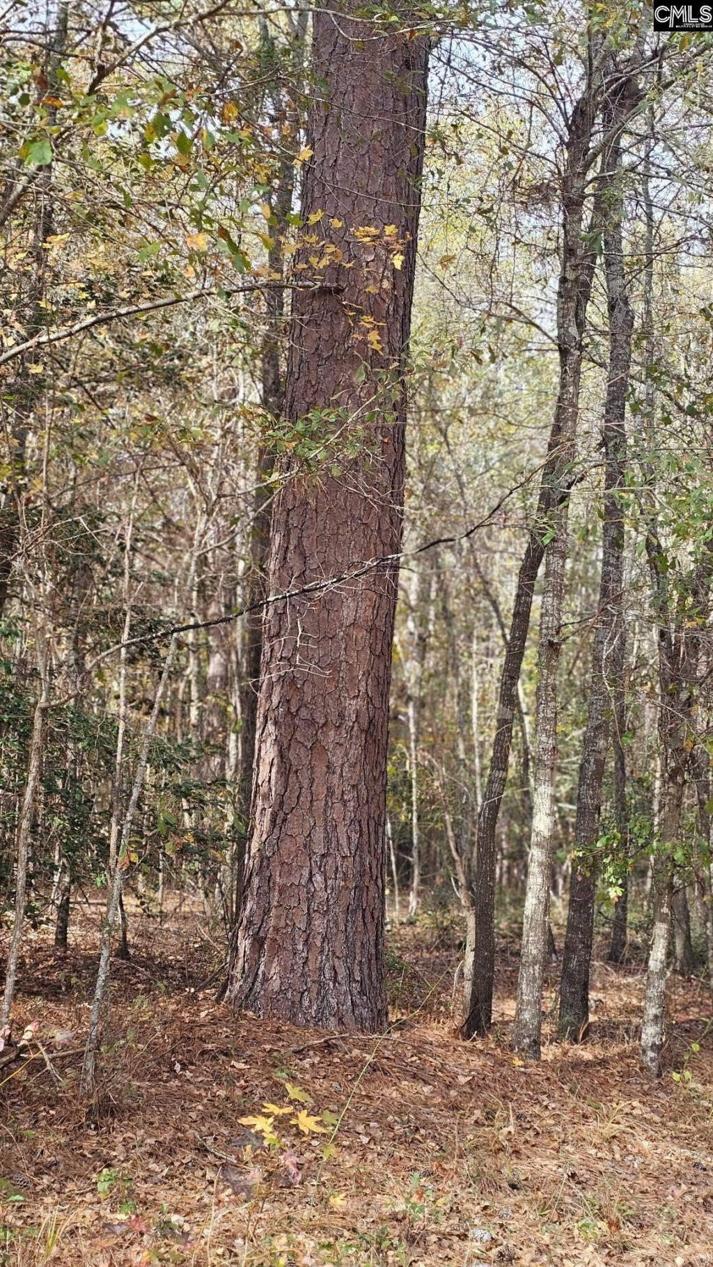 4079 Jefferson Davis Highway Photo 28