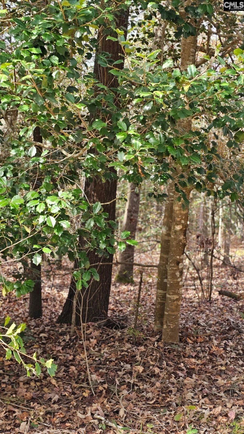 4079 Jefferson Davis Highway Photo 29