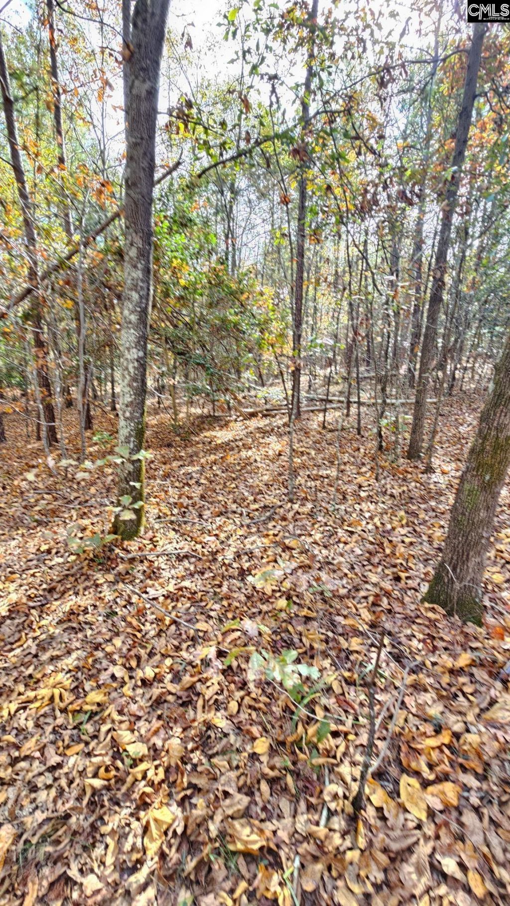 4079 Jefferson Davis Highway Photo 4