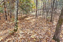 4079 Jefferson Davis Highway photo 4