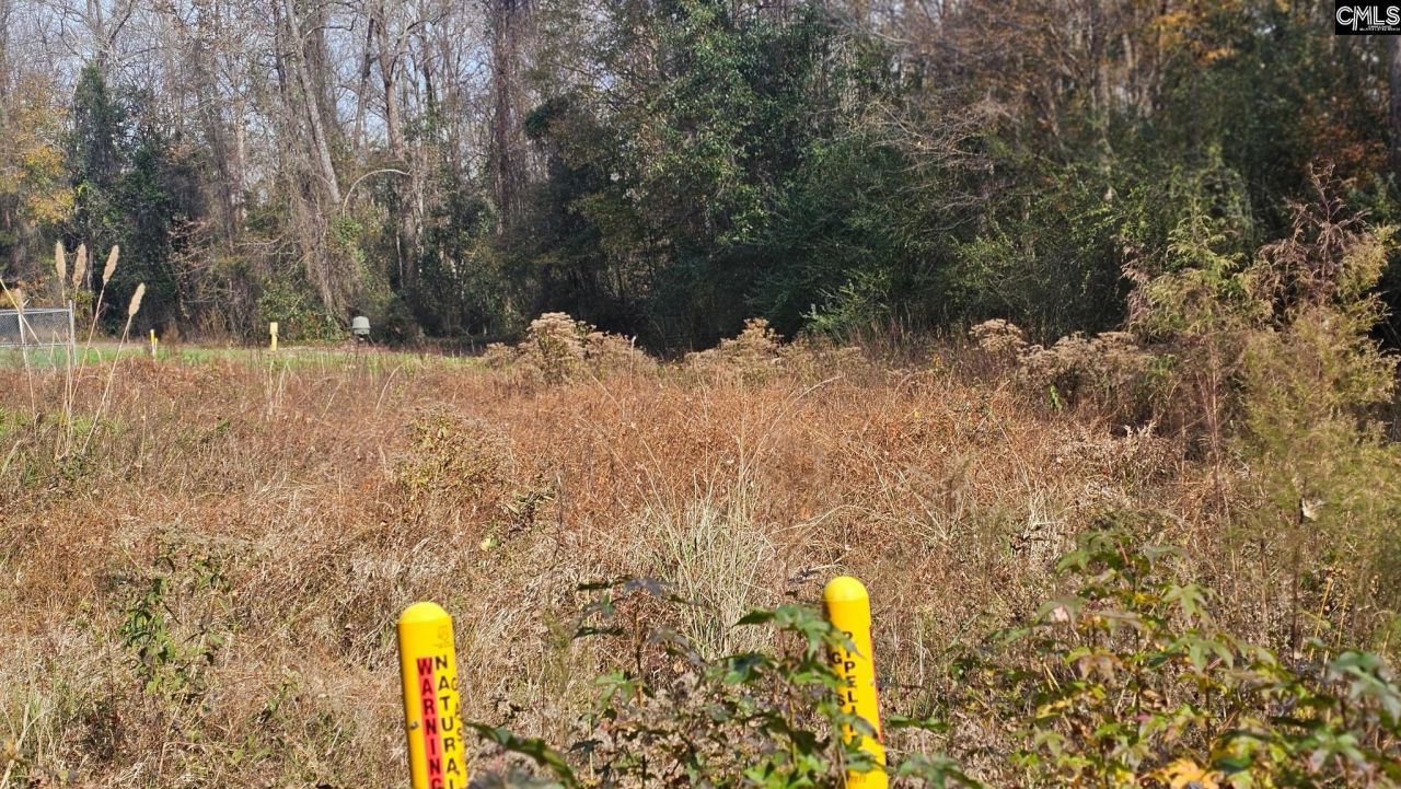 4079 Jefferson Davis Highway Photo 6